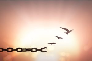 forgiveness, wellness