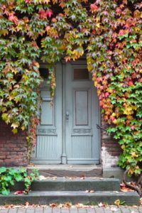 front door, obscured, ivy