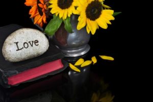 sacred, space, altar, meditation, bible, wellspring energyworks